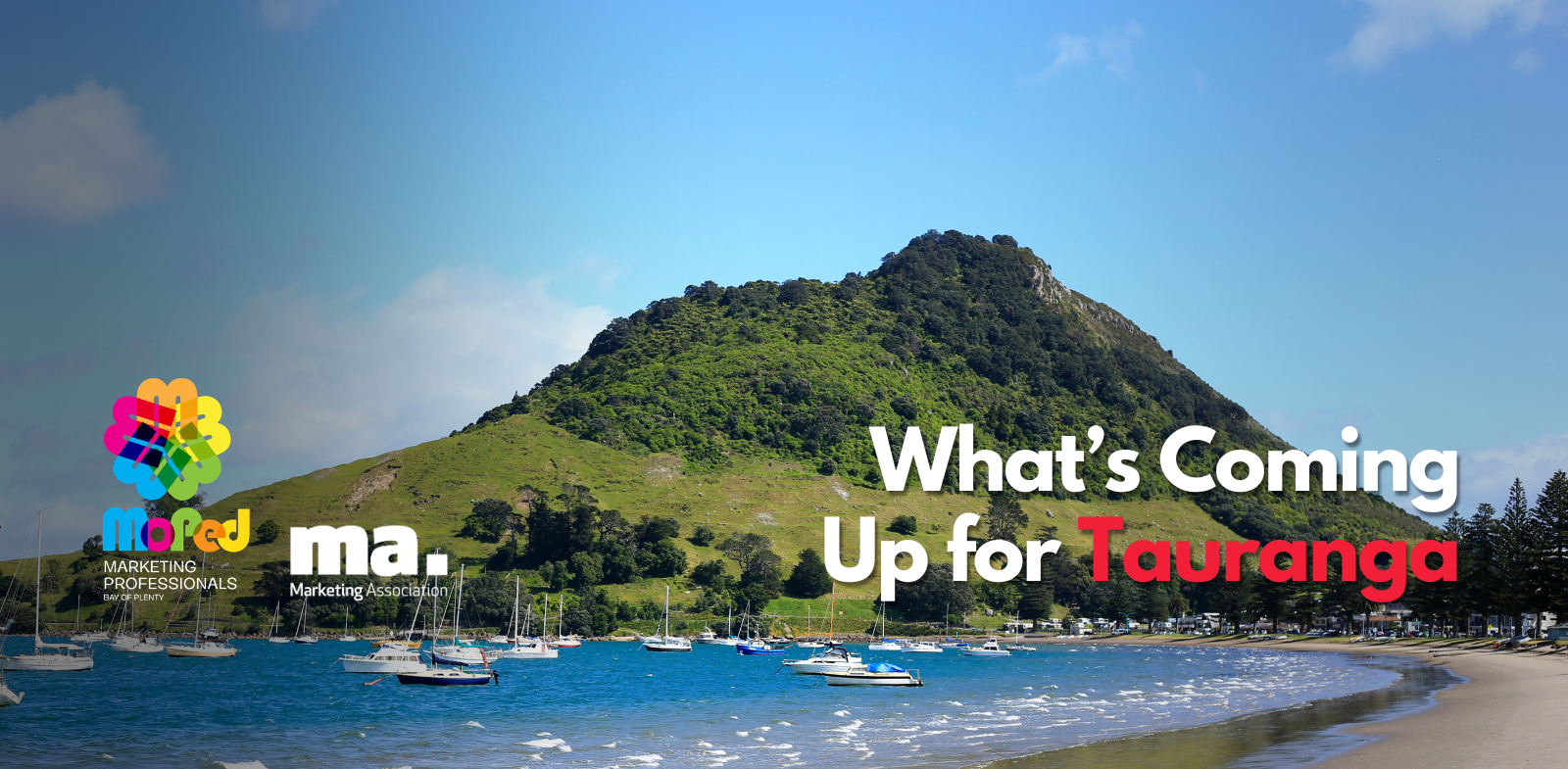 Tauranga Page Hero Banner