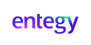 Entegy main colour logo