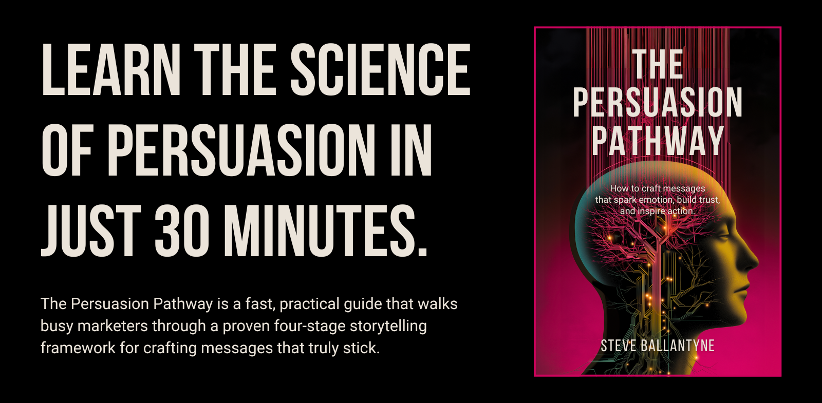 NZMA Persuasion Pathway-2
