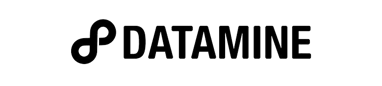 Datamine Limited