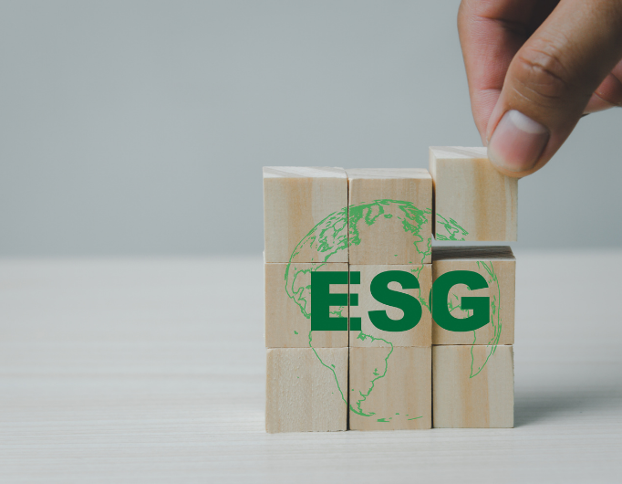 what is ESG header