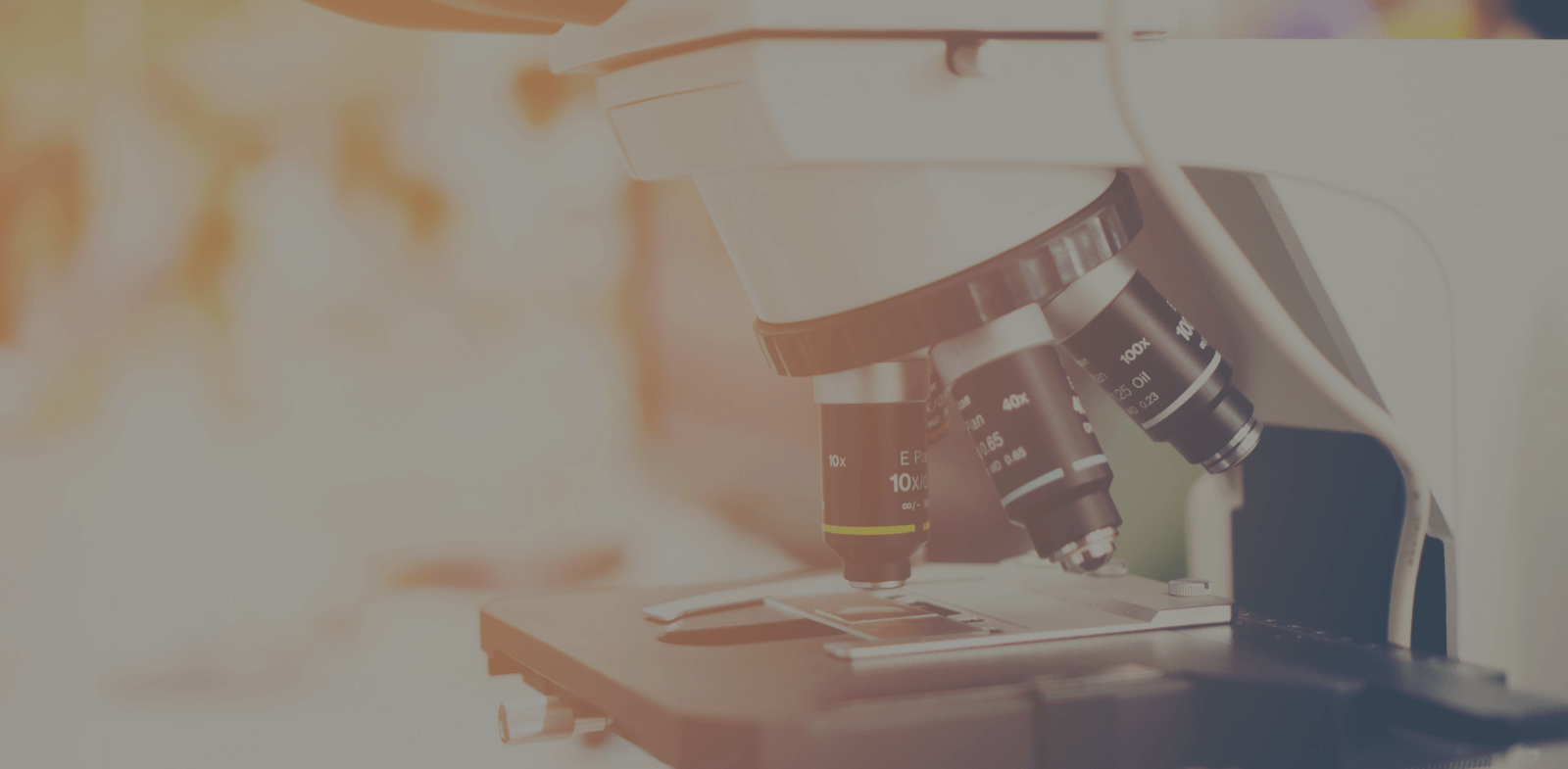 Microscope