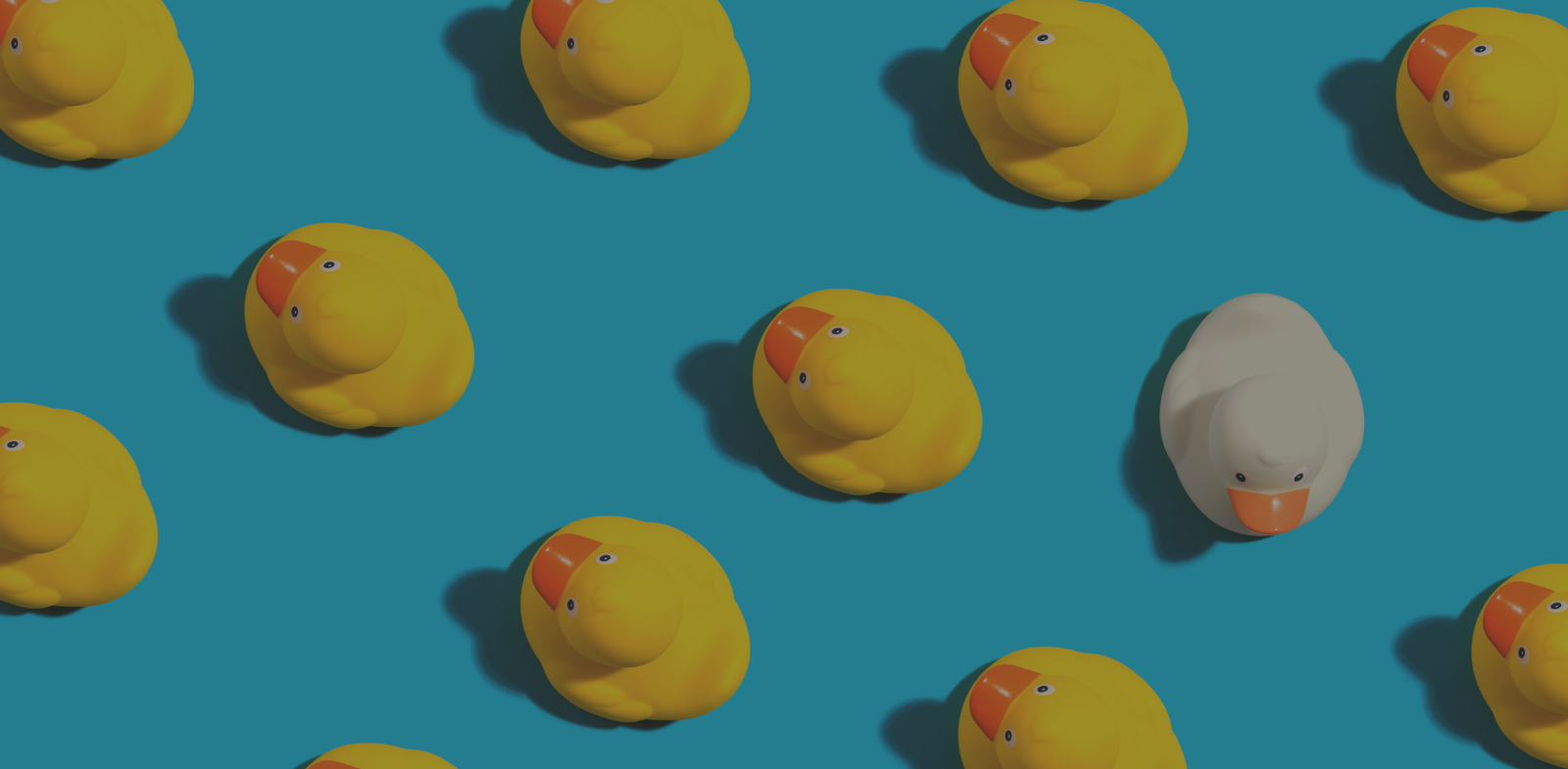 Ten yellow rubber ducks on blue background with one white rubber duck