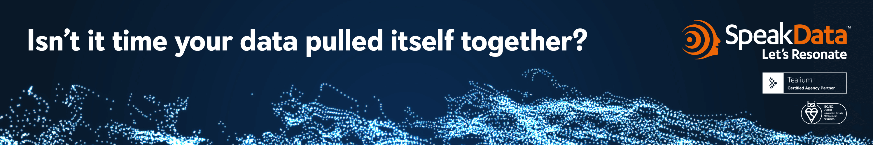 SpeakData - Isn't it time your data pulled itself together?