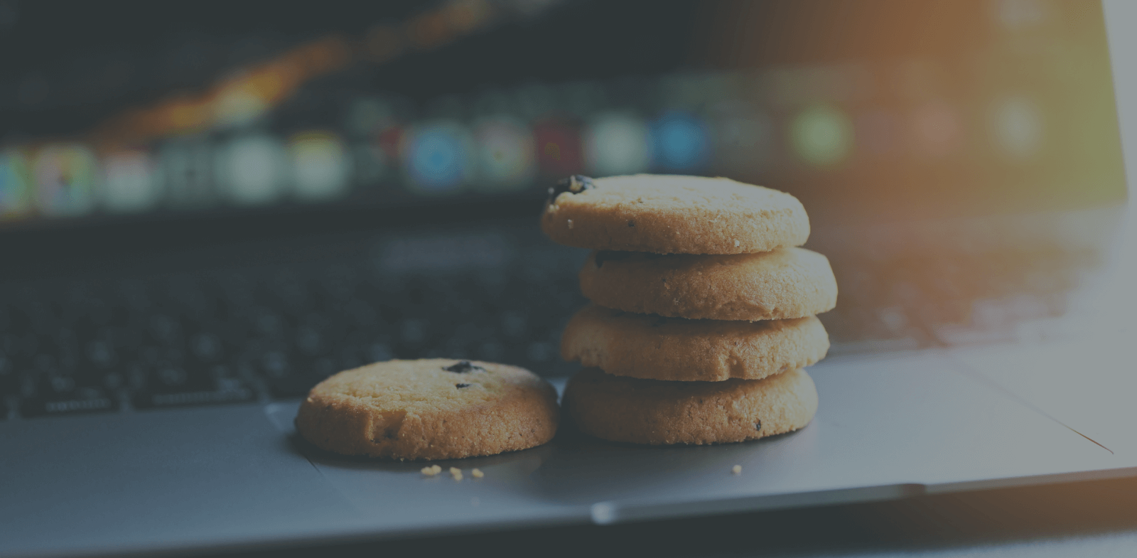 Understanding Cookies: Navigating GDPR and ePrivacy Directive