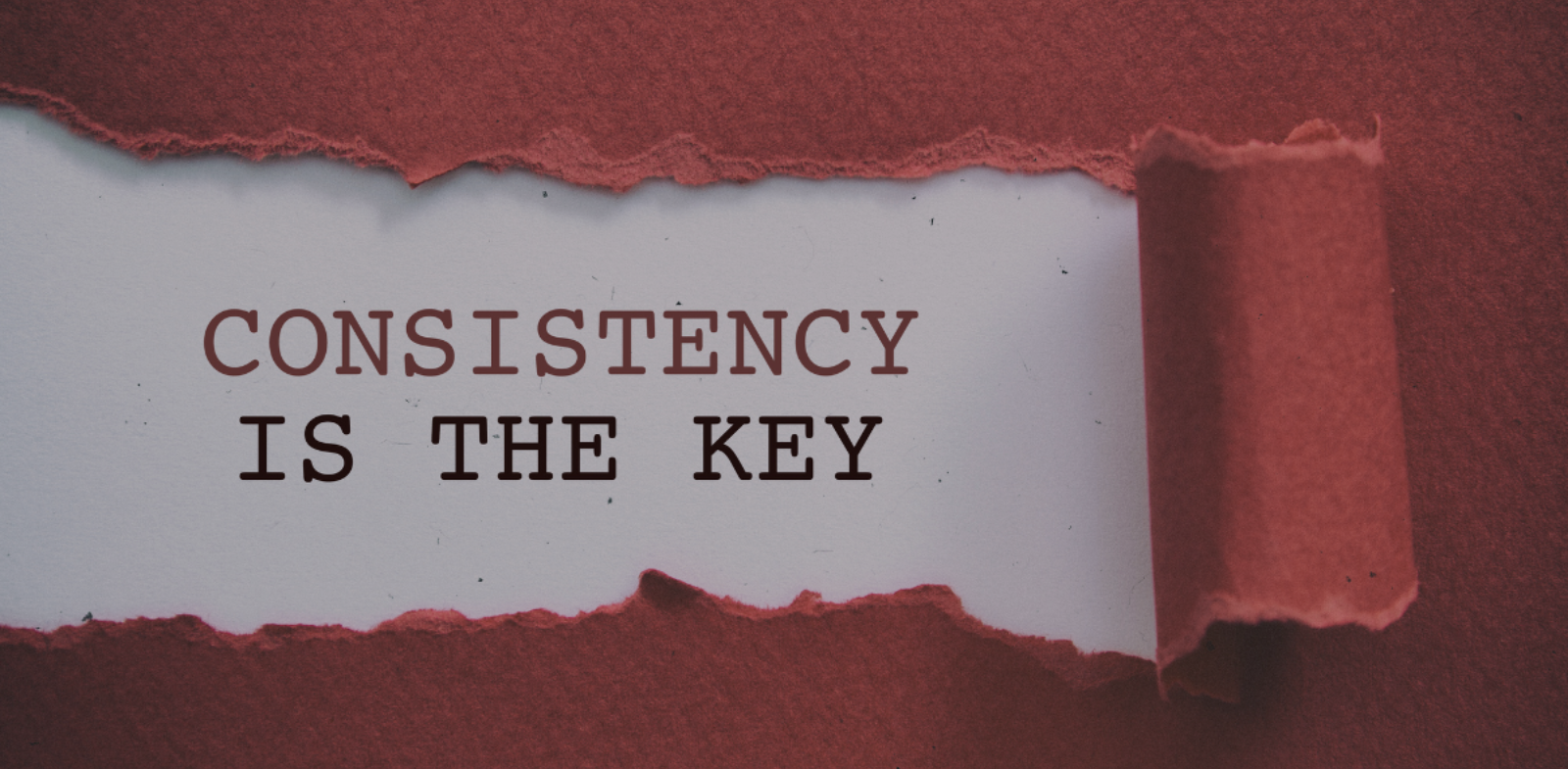 brand consistency hero image