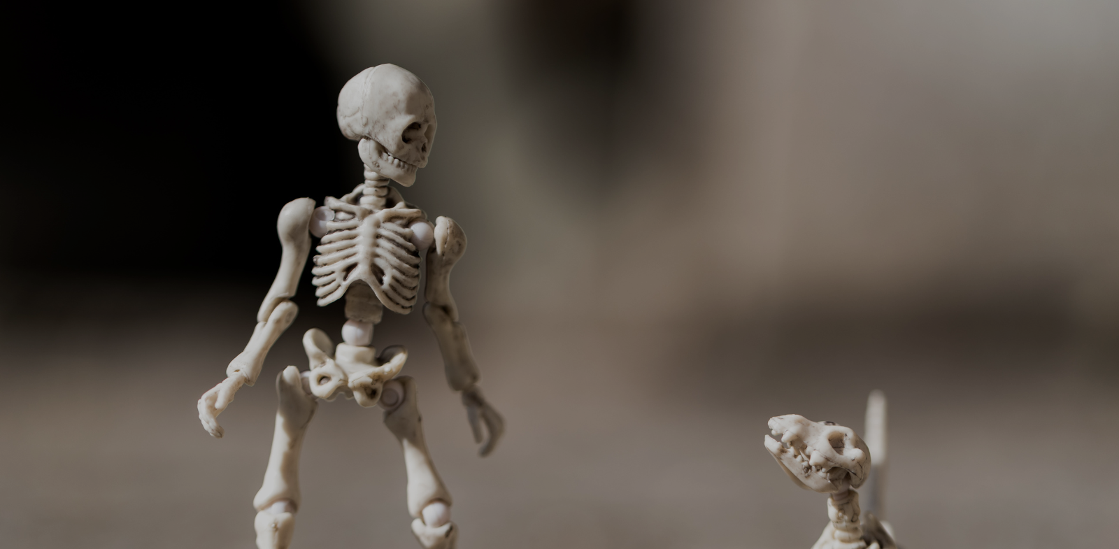 dead-metrics-walking (1)